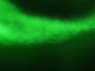 Light green on dark background very beautiful in abstract