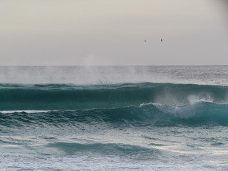 Summer morning at the beach with high tide and high winds.
