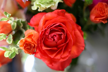 flower arrangement, bouquet of flowers