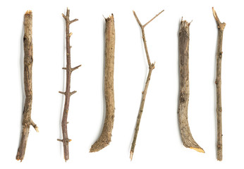 Multiple sets of branches old wood collection closeup white isolated