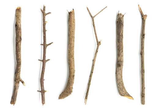 Multiple sets of branches old wood collection closeup white isolated