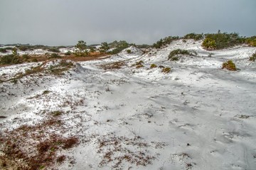 Deer Beach State Park is located in the Panhandle of Florida