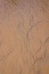 Fototapeta na wymiar Branched lines in the sand formed by draining water.