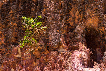 Red rocky surface similar to the planet Mars. Red rocks illuminated by the sun. Martian landscape.
