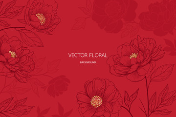 abstract red peony and gold light gradient lines background vector Illustration for card invite , wallpaper.