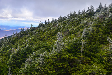 Scenery of Hakkoda Mountains in autumn