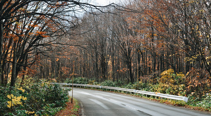 Obraz premium Autumn scenery of Aomori, Japan