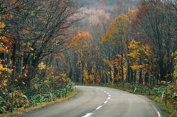 Fototapeta premium Autumn scenery of Aomori, Japan