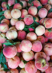 Sweet red ripe peaches at the rural market