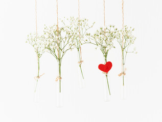 White flowers in glass mini vases hanging. Concept of Valentine's Day, wedding celebration.