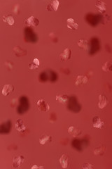Falling hearts background.  Red and pink paper flying  hearts on a dark pink background in all directions. Lover holiday. Valentine's Day festive background
