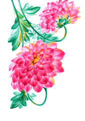 blooming  dahlia. the leaves and flowers art design