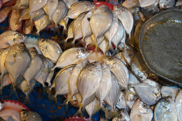 many fishes on the market