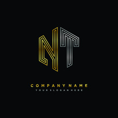 Initial letter NT, minimalist line art monogram hexagon logo, gold and silver color gradation