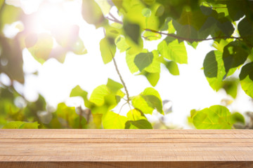 Empty wooden table with Defocus nature green bokeh, abstract nature background.