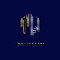 Initial letter TW, minimalist line art monogram hexagon logo, gold and silver color gradation