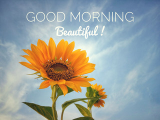 Inspirational quote - Good morning beautiful, With sunflower blossom closeup on bright blue sky background in low angle view. Words of morning greeting concept with fresh nature.