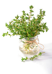 thyme in glass jar decorated with bow of twine isolated on white  background