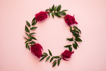 Arch of fresh flowers lie on a pink background - Image