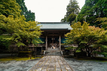 The shrines in Kyushu.