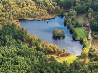 Fototapeta na wymiar vue aérienne de la forêt de Rambouillet à l'automne dans les Yvelines en France