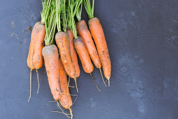 Fresh bunch of carrots on a black background