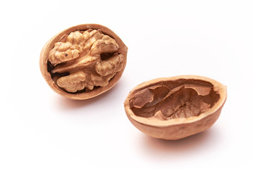 Walnut on an isolated white background. Close up. Macro.