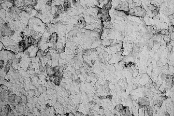 Texture of a concrete wall with cracks and scratches which can be used as a background