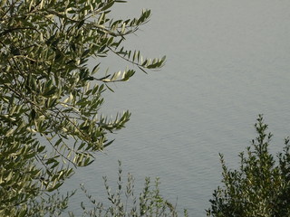 Comer See Impressionen