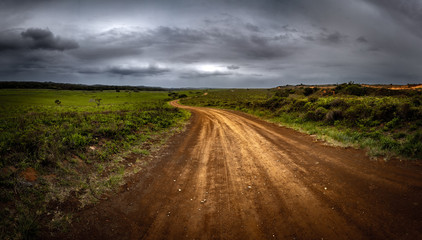 A dirt road in the Isimangaliso National Park in Southafrica