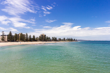 Coastal Trees and Buildings 