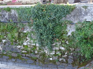 Italien Impressionen