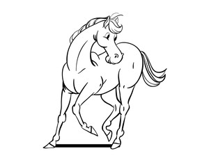 Horse pattern design. Vector illustration.