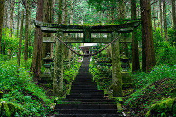 The shrines in Kyushu.