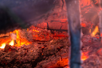Burning bonfire close-up. Abstract background. Concept of nature and danger