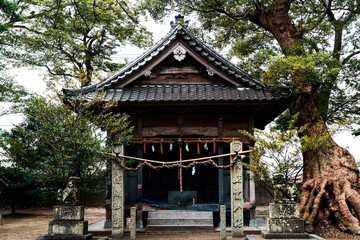 The shrines in Fukuoka.
