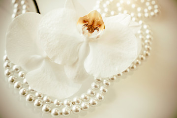 Obraz na płótnie Canvas pearl and white orchid on a white glas