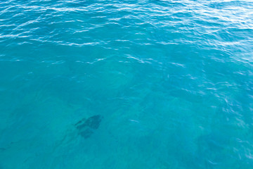 Clear water texture in blue. Background of the ocean and the sea backlit by the sun.