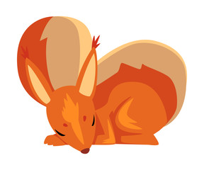 Cute Sleeping Squirrel, Lovely Little Rodent Animal Cartoon Character Vector illustration
