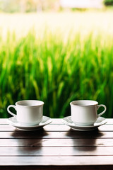 White tea cups on a beautiful background. White coffee cups against the background of rice terraces in Bali. Two white tea cups on saucers. Cups on a beautiful background. Still life