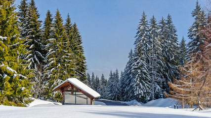 Obraz na płótnie Canvas Chalets de montagne en hiver