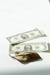 dollar and leaf