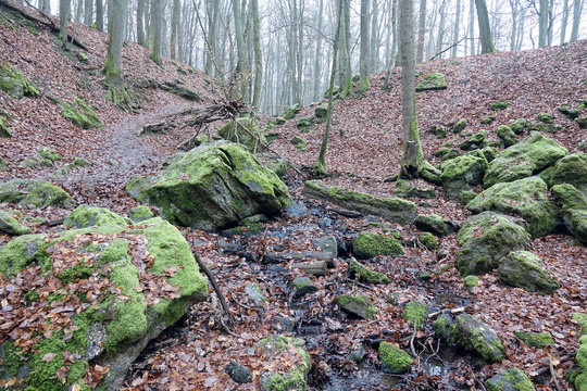 Steckeschl&auml;&auml;ferklamm im Binger Wald