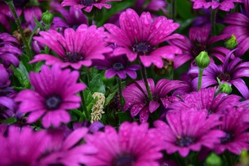 Leben ist wundervoll