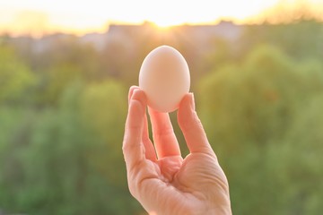 Hand holding one white egg, conceptual photo background sunset