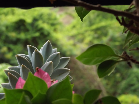 彩票中奖号码秘密