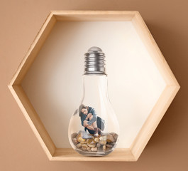 Decorative light bulb with plant inside on white background