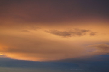 SONY DSC