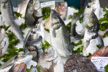 vario pesce di mare esposto al mercato del pesce - obrazy, fototapety, plakaty