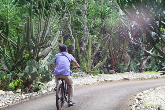 Young Man Riding A Bike At The Bogor Botanical Garden Kebun Raya Bogor Park In The Morning